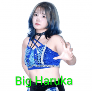Zzzzz 17702516211000000531 — Definitive Joshi Tier List (250+ Wrestlers) option 177