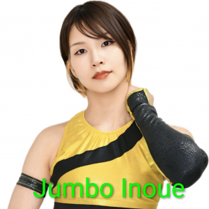 Zzzzz 17702516211000000532 — Definitive Joshi Tier List (250+ Wrestlers) option 178