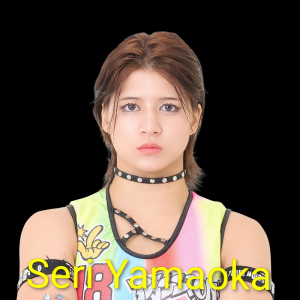 Zzzzz 17702516211000000565 — Definitive Joshi Tier List (250+ Wrestlers) option 181
