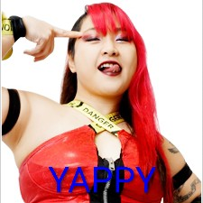 Zzzzz 17702516221000000504 — Definitive Joshi Tier List (250+ Wrestlers) option 189