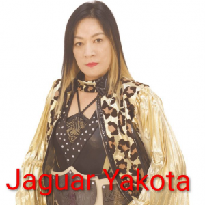 Zzzzz 17702516771000000462 — Definitive Joshi Tier List (250+ Wrestlers) option 201
