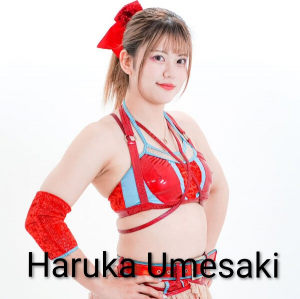 Zzzzz 17702516791000000460 — Definitive Joshi Tier List (250+ Wrestlers) option 218