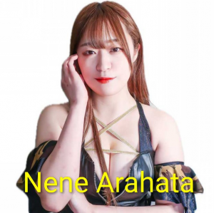 Zzzzz 17702516801000000413 — Definitive Joshi Tier List (250+ Wrestlers) option 221