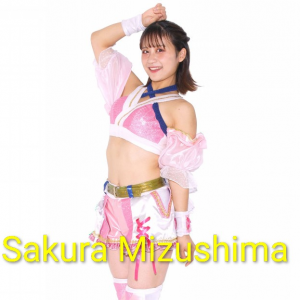 Zzzzz 17702516801000000415 — Definitive Joshi Tier List (250+ Wrestlers) option 223