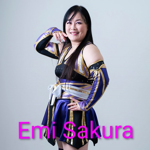 Zzzzz 17702516801000000441 — Definitive Joshi Tier List (250+ Wrestlers) option 234
