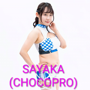 Zzzzz 17702516801000000443 — Definitive Joshi Tier List (250+ Wrestlers) option 235