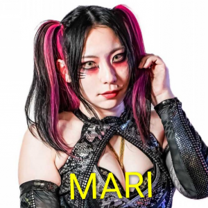 Zzzzz 17702516811000000420 — Definitive Joshi Tier List (250+ Wrestlers) option 249
