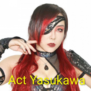 Zzzzz 17702516821000000390 — Definitive Joshi Tier List (250+ Wrestlers) option 251