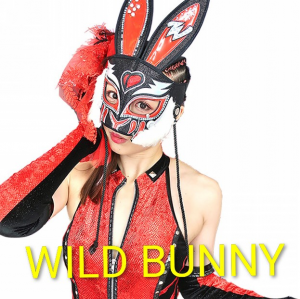 Zzzzz 17702516821000000392 — Definitive Joshi Tier List (250+ Wrestlers) option 253