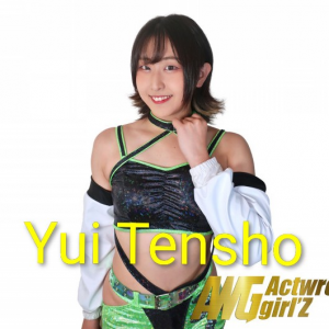 Zzzzz 17702516821000000407 — Definitive Joshi Tier List (250+ Wrestlers) option 257