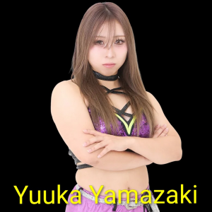 Zzzzz 17703382621000000933 — Definitive Joshi Tier List (250+ Wrestlers) option 273