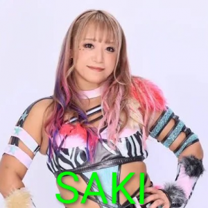 Zzzzz 17703392161000000939 — Definitive Joshi Tier List (250+ Wrestlers) option 276