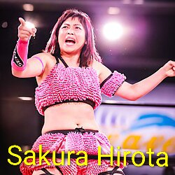 Zzzzz 17703457501000000950 — Definitive Joshi Tier List (250+ Wrestlers) option 279