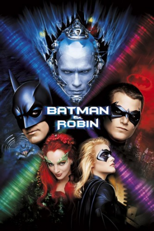 004 Batman And Robin — DC Universe (+ DCEU & Elseworlds) option 33