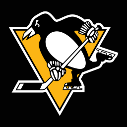 Pittsburghpenguins — NHL Teams option 15