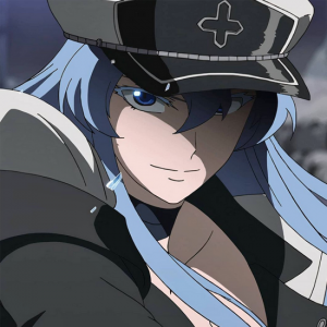Zzzzz 1735011573akame Ga Kill Esdeath — 100+ Anime Villains Tier List option 2