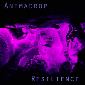 Artworks 000205163838 Fmbmw0 T500x500 — Animadrop's tracks option 23