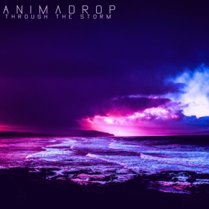 Artworks 000331669566 D1i3hw T500x500 — Animadrop's tracks option 36
