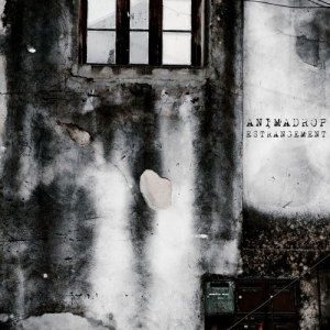 Artworks 000459313767 B5btj4 T500x500 — Animadrop's tracks option 40
