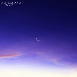 Artworks 000490417902 Njeuoa T500x500 — Animadrop's tracks option 41