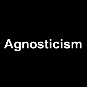 Agnosticism — Philosophical theories option 3