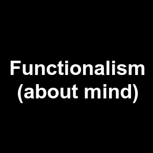 Functionalism About Mind — Philosophical theories option 44