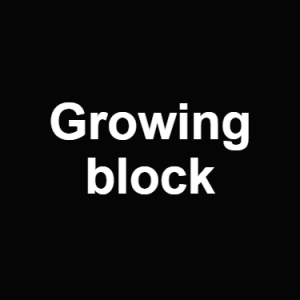Growing Block — Philosophical theories option 46