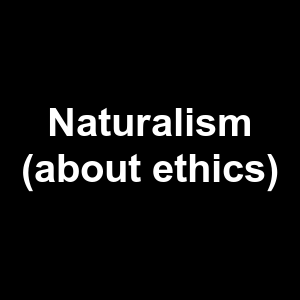 Naturalism About Ethics — Philosophical theories option 76