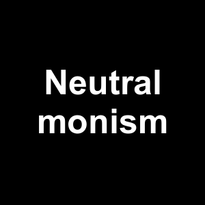 Neutral Monism — Philosophical theories option 78