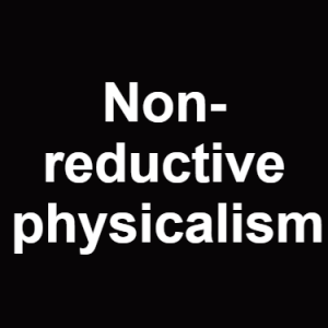 Non Reductive Physicalism — Philosophical theories option 80