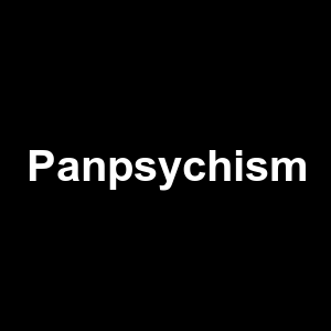 Panpsychism — Philosophical theories option 83