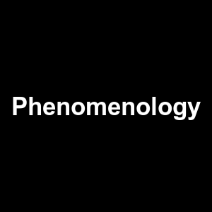 Phenomenology — Philosophical theories option 86