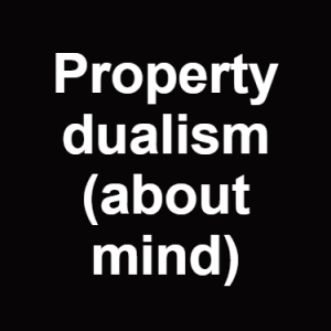 Property Dualism About Mind — Philosophical theories option 94