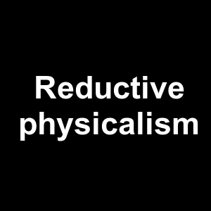 Reductive Physicalism — Philosophical theories option 106