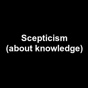 Scepticism About Knowledge — Philosophical theories option 114