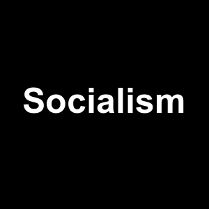 Socialism — Philosophical theories option 121