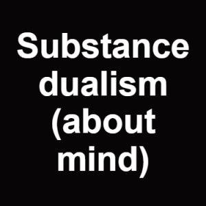 Substance Dualism About Mind — Philosophical theories option 125