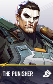 The Punisher — Marvel Rivals current hero roster option 40