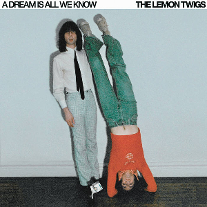 Adreamisallweknow — The 2024 Listening Project option 15