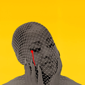 Pleasedontcry — The 2024 Listening Project option 252