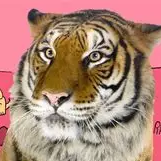 Giant Realistic Flying Tiger — Flatscreen Rotom's favorite characters as of 31/08/2026 option 102