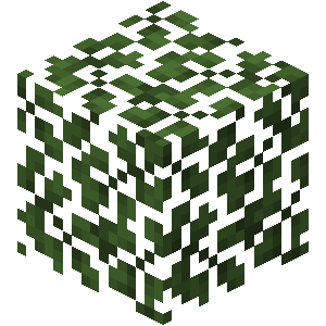Acacia Leaves — Every single block and item in minecraft 26.3 option 5