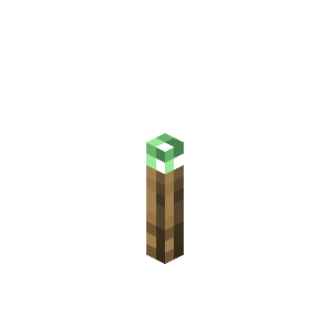 Copper Torch Je2 Be2 — Every single block and item in minecraft 26.3 option 243