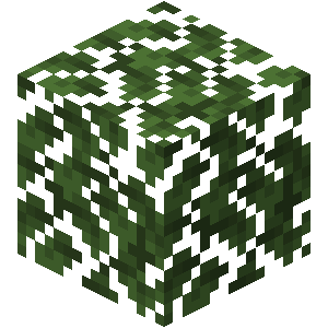 Dark Oak Leaves — Every single block and item in minecraft 26.3 option 303