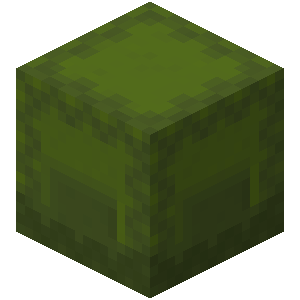 Green Shulker Box Je2 Be2 — Every single block and item in minecraft 26.3 option 447