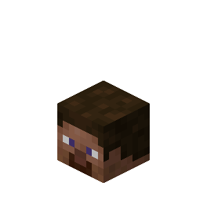 Zzzzz 1790035746player Head S Je2 — Every single block and item in minecraft 26.3 option 730