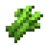 Zzzzz 1790035990sugar Cane Item Je3 Be3 — Every single block and item in minecraft 26.3 option 1661
