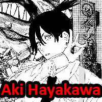 Aki — S19 Tribunals option 2