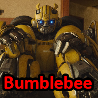Bumblebee — S19 Tribunals option 36