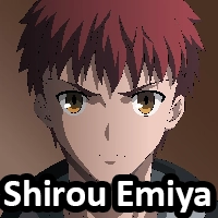 Shirou — S19 Tribunals option 213